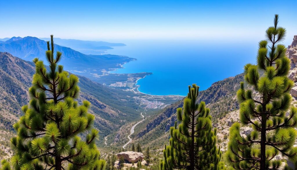 Atemberaubender Blick vom Llogara-Pass auf die Albanische Riviera - eines der spektakulärsten schönsten Reiseziele Albanien Atemberaubender Blick vom Llogara-Pass auf die Albanische Riviera - eines der spektakulärsten schönsten Reiseziele Albanien