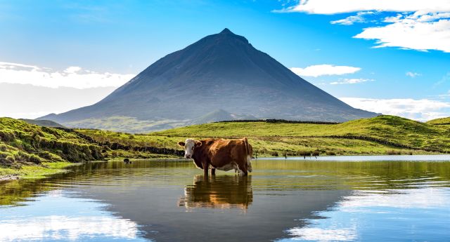 Abenteuer: Abenteuer Azoren: Inselhopping zwischen grünen Vulkangewalten