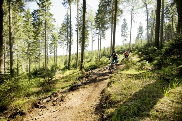 Familien: Familien-Auszeit am Fuße des Fichtelbergs