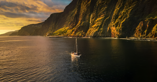Madeira: Madeira entdecken: spektakuläre Natur & Walbeobachtung