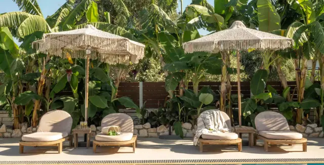 🇬🇷: 🇬🇷 Neues Hotel auf Kos: Bisher nur Bestbewertungen!! 🌟