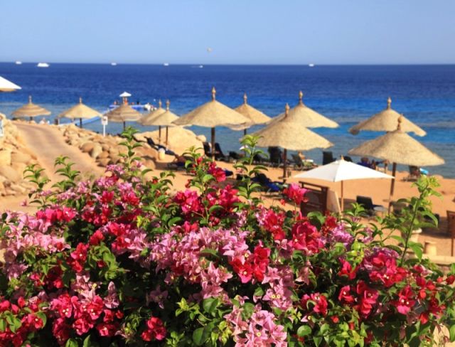 winterurlaub ägypten