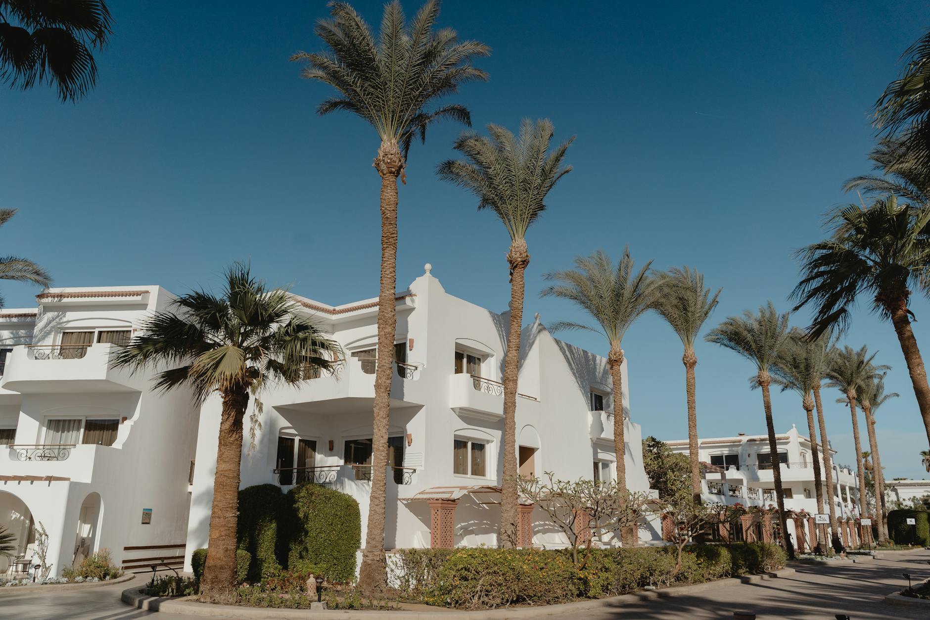 Detailansicht: ägypten Reise Sicherheit