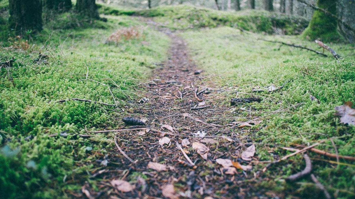 Detailansicht: ägypten Urlaub All Inclusive