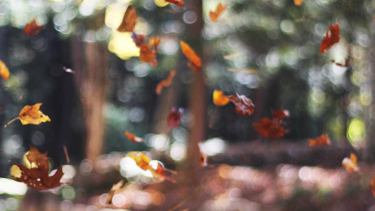 Ausflugsziele Hannover Umgebung Detailansicht: Ausflugsziele Hannover Umgebung