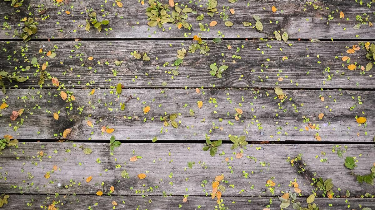 Camping Schweiz Naturgefahren Symbolbild zum Thema Camping Schweiz Naturgefahren