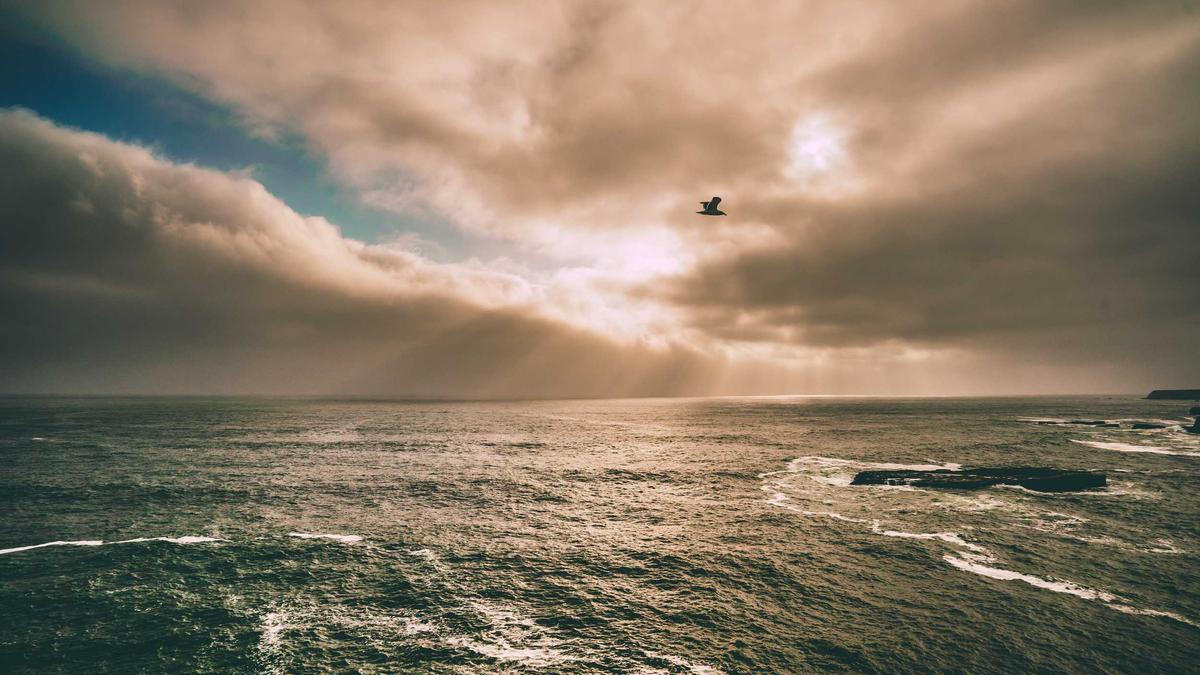 Familienurlaub Teneriffa Illustration zu Familienurlaub Teneriffa