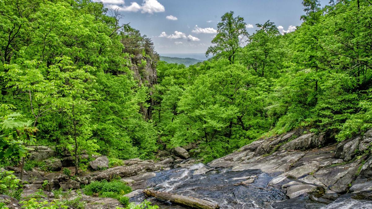 Familienurlaub Teneriffa Symbolbild zum Thema Familienurlaub Teneriffa