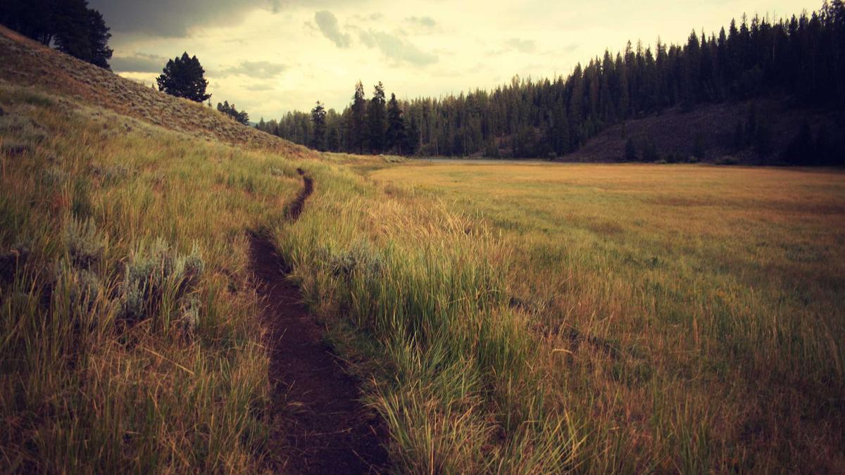Illustration zu Jakarta Flug Angebote