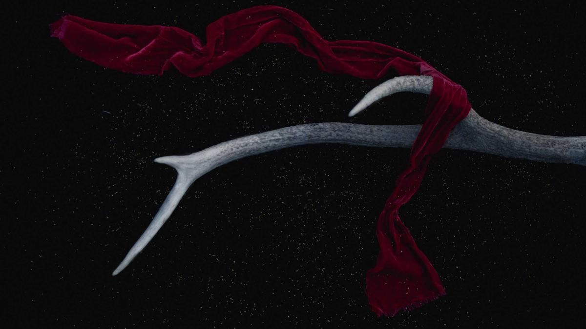 Illustration zu Lavendelfelder Ungarn