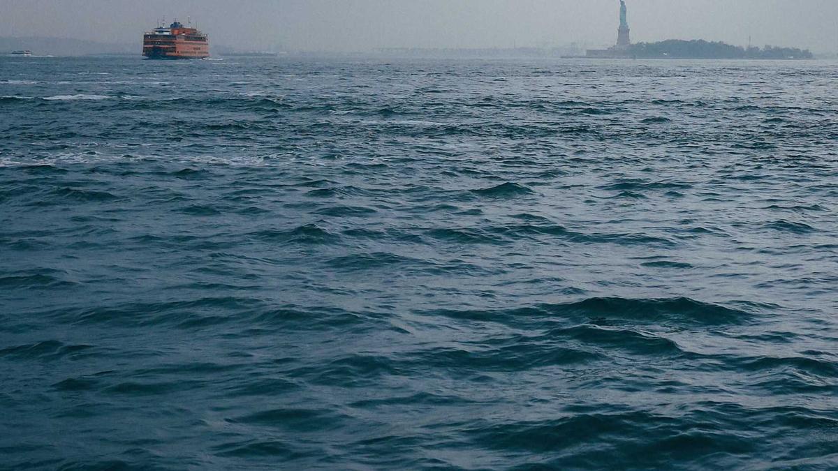 Detailansicht: Lavendelfelder Ungarn