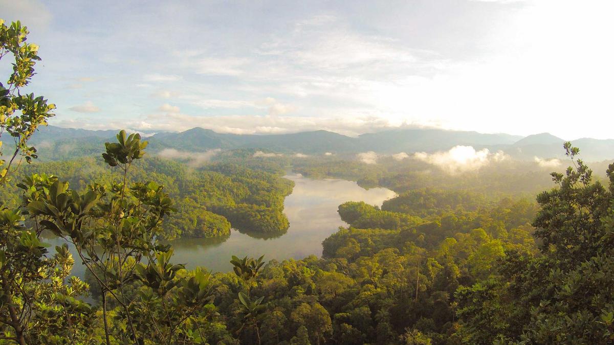 Illustration zu Masern Impfung Reise