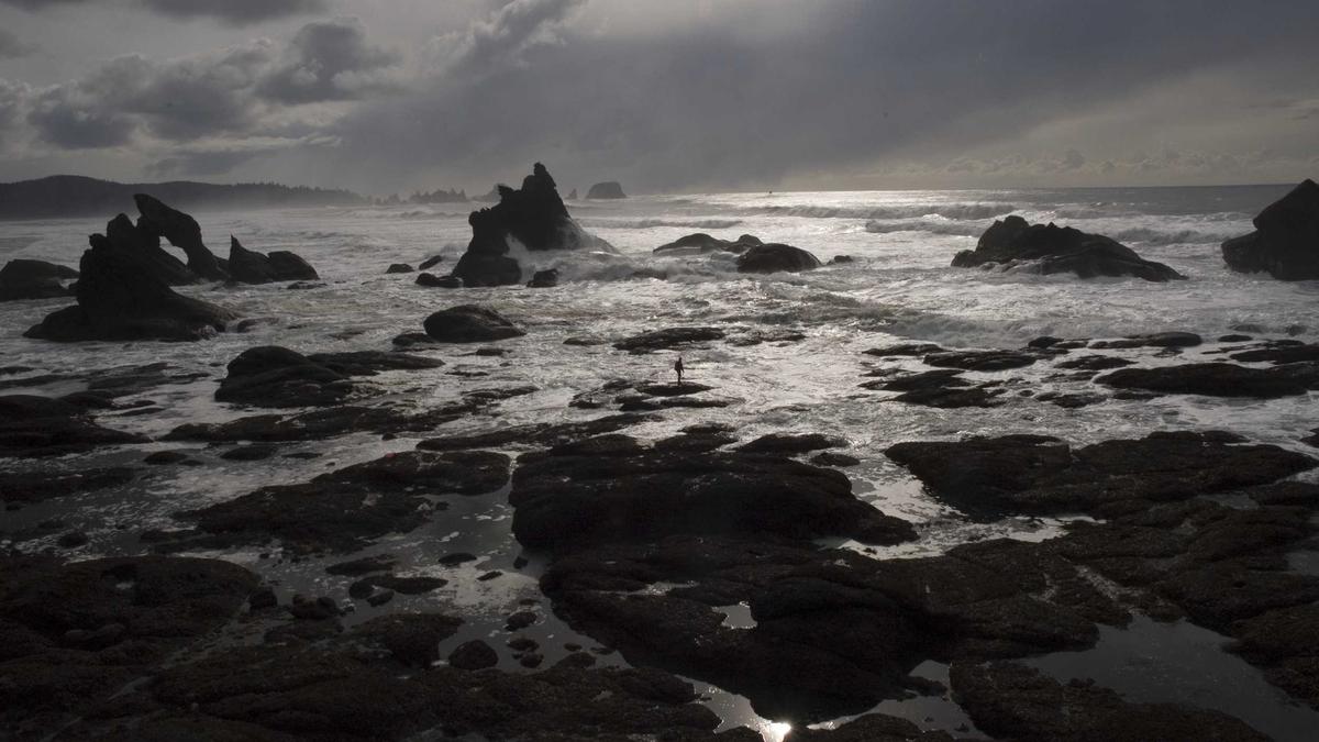 Riesige Restaurants Weltweit Illustration zu Riesige Restaurants Weltweit