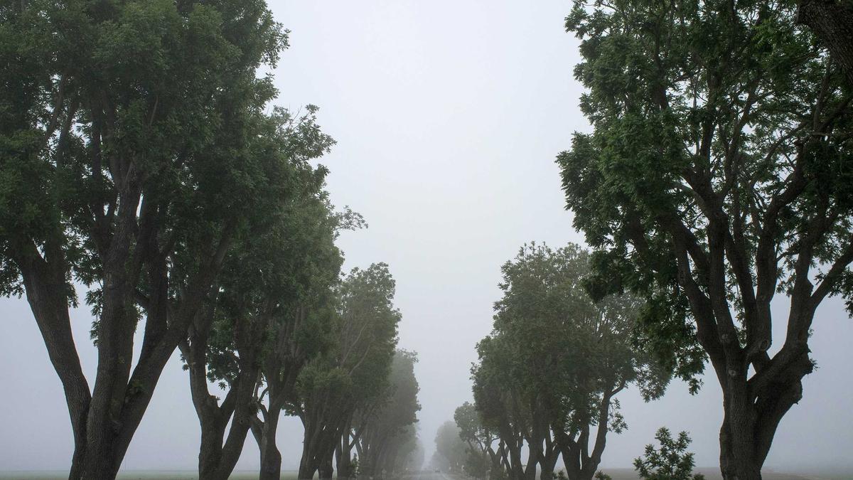 Symbolbild zum Thema Texas Roadtrip