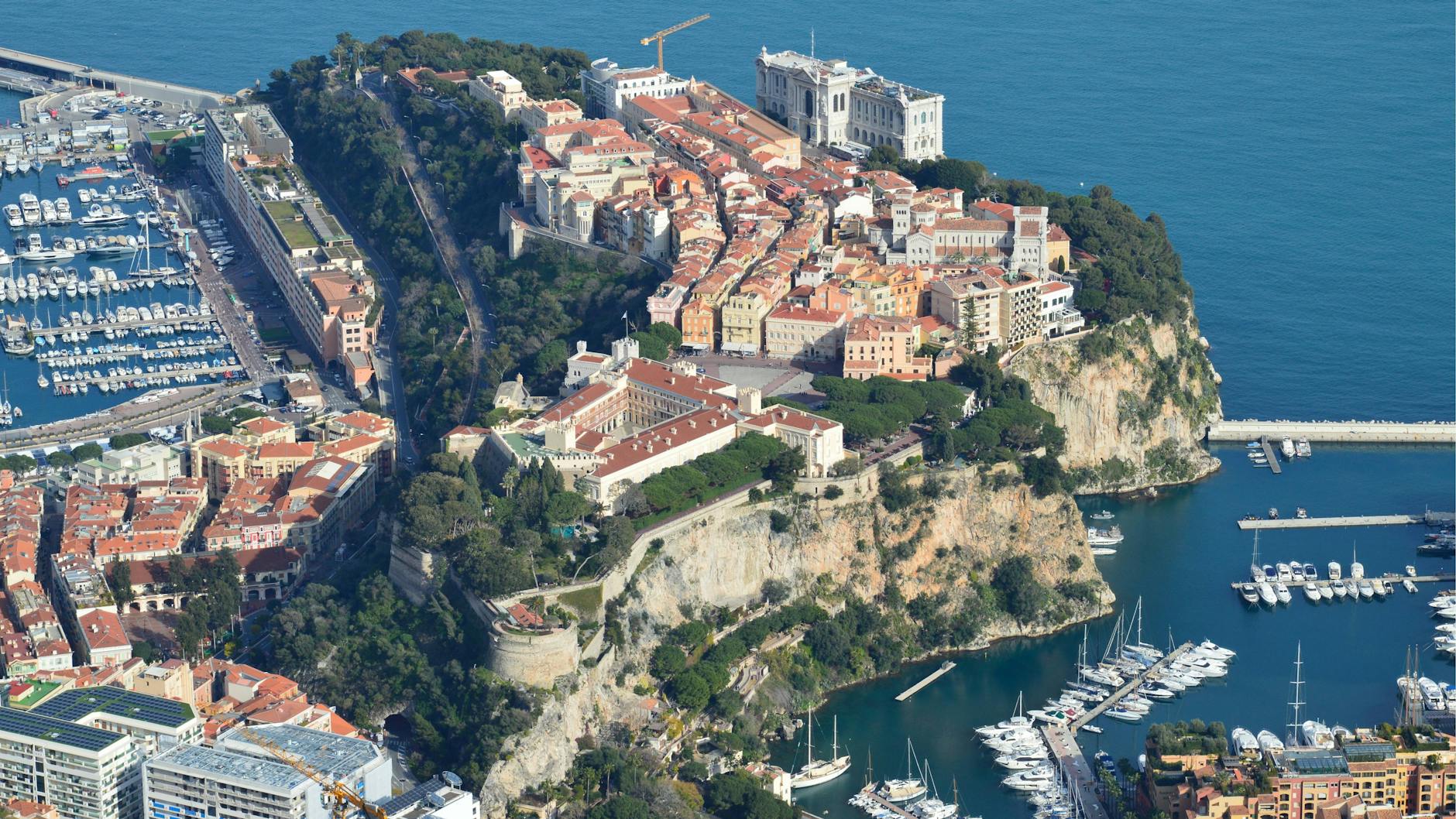 Detailansicht: Exotischer Garten Monaco