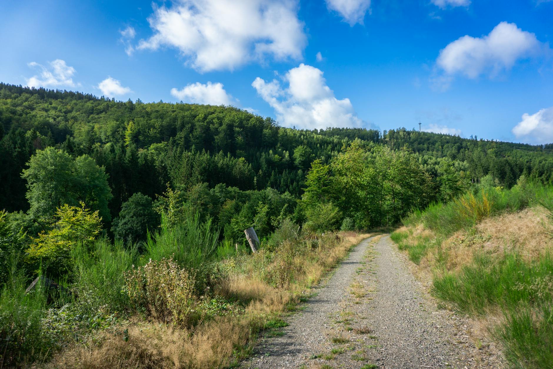 Heidschnuckenweg Wandern Detailansicht: Heidschnuckenweg Wandern