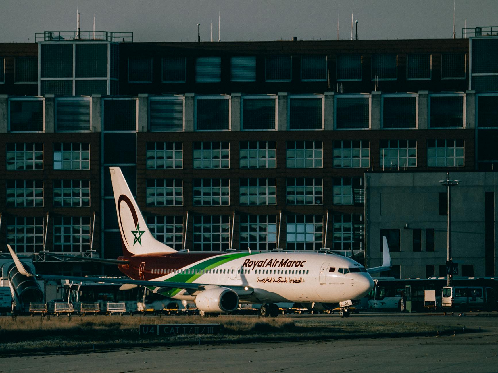 Neue Airline ägypten Illustration zu Neue Airline ägypten