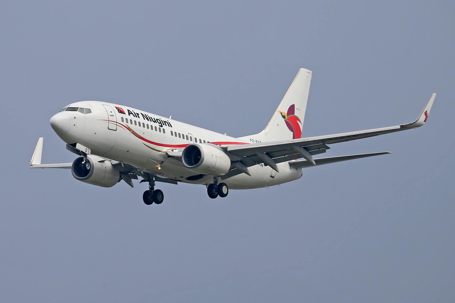 Neue Airline ägypten Symbolbild zum Thema Neue Airline ägypten