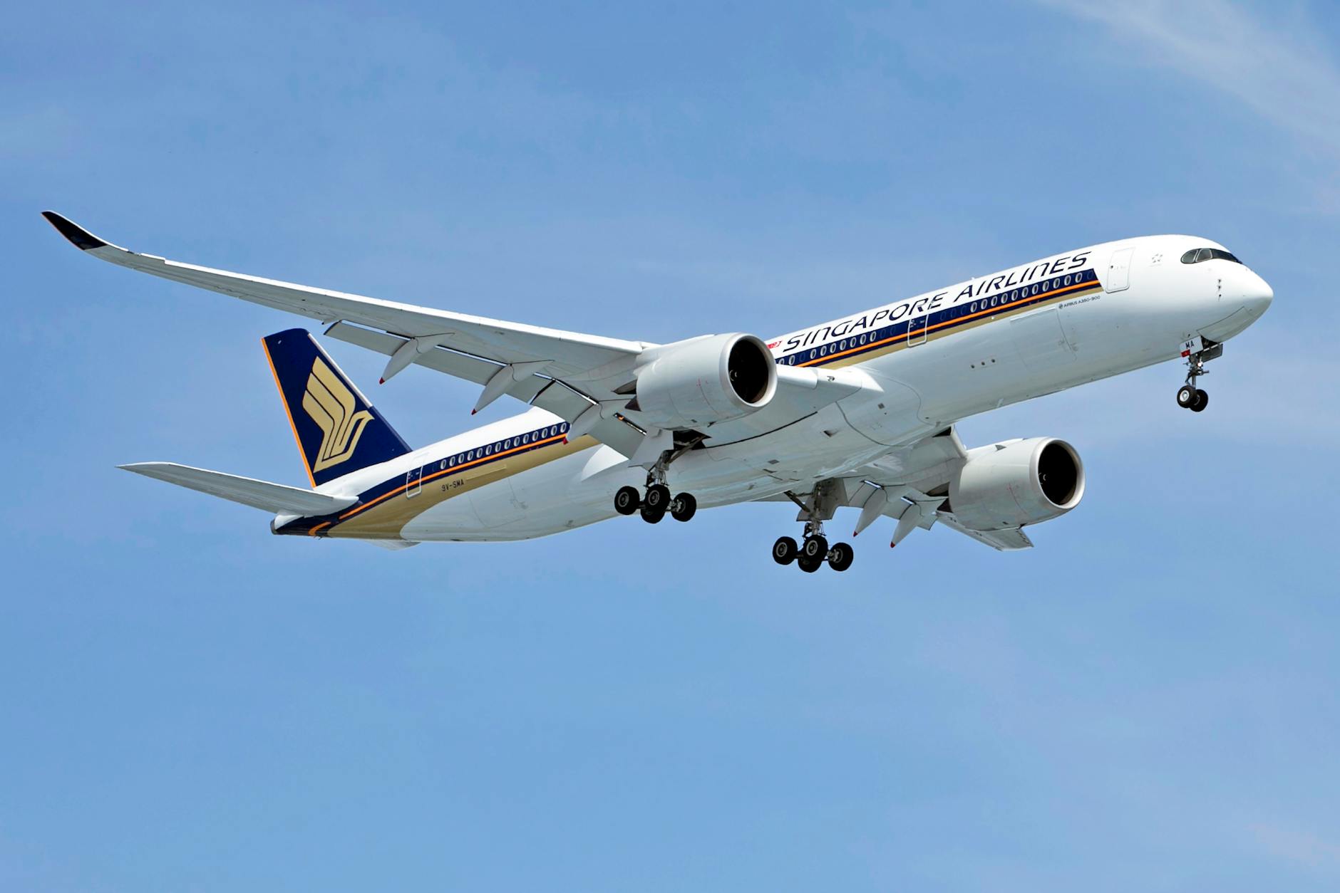 Neue Airline ägypten Detailansicht: Neue Airline ägypten