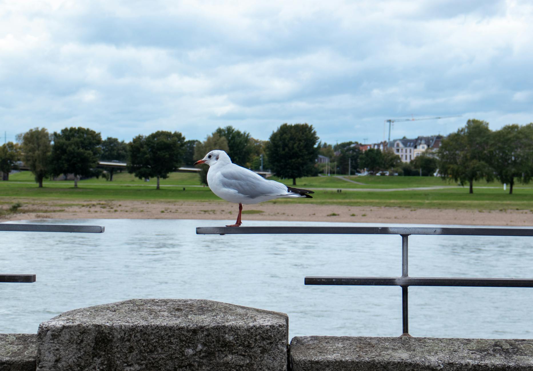Detailansicht: Rhein Dörfer