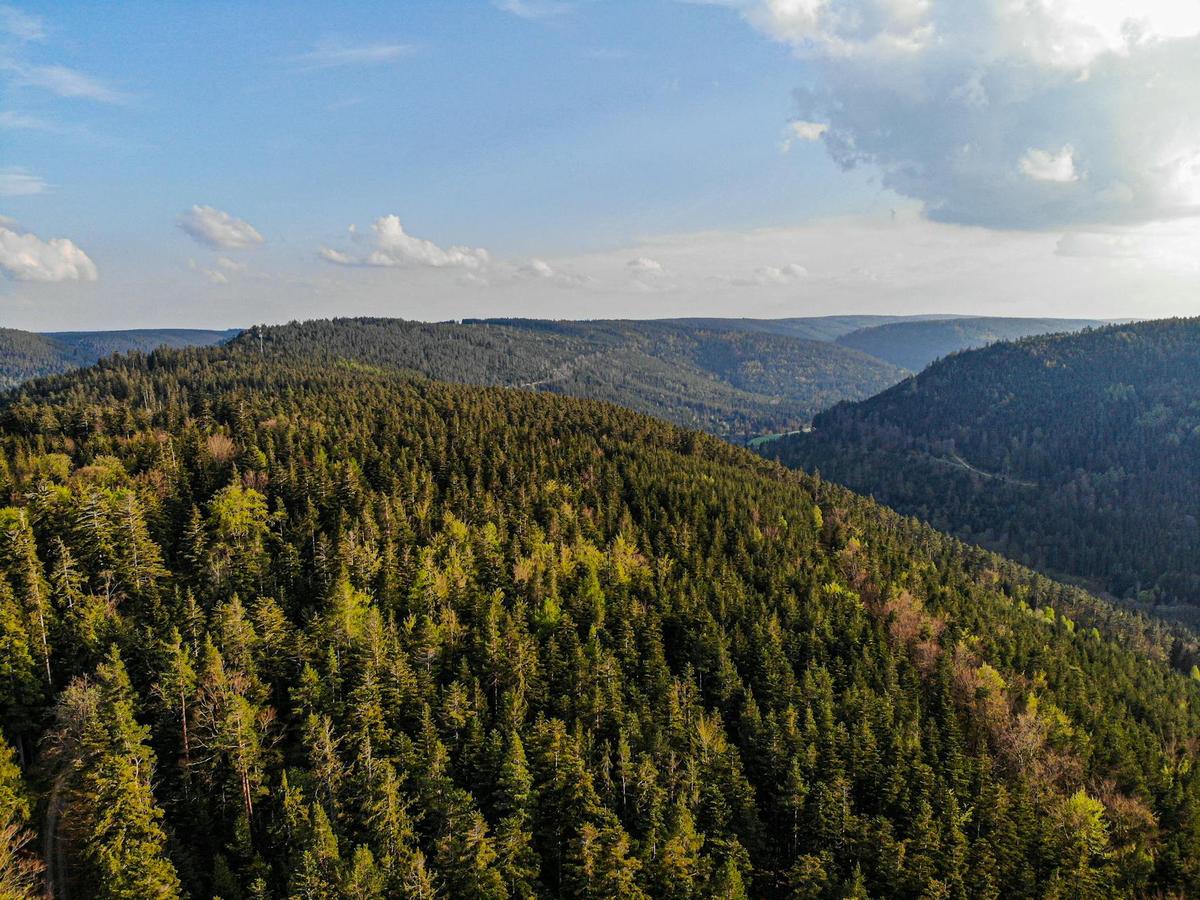 Symbolbild zum Thema Schönste Orte Schwarzwald