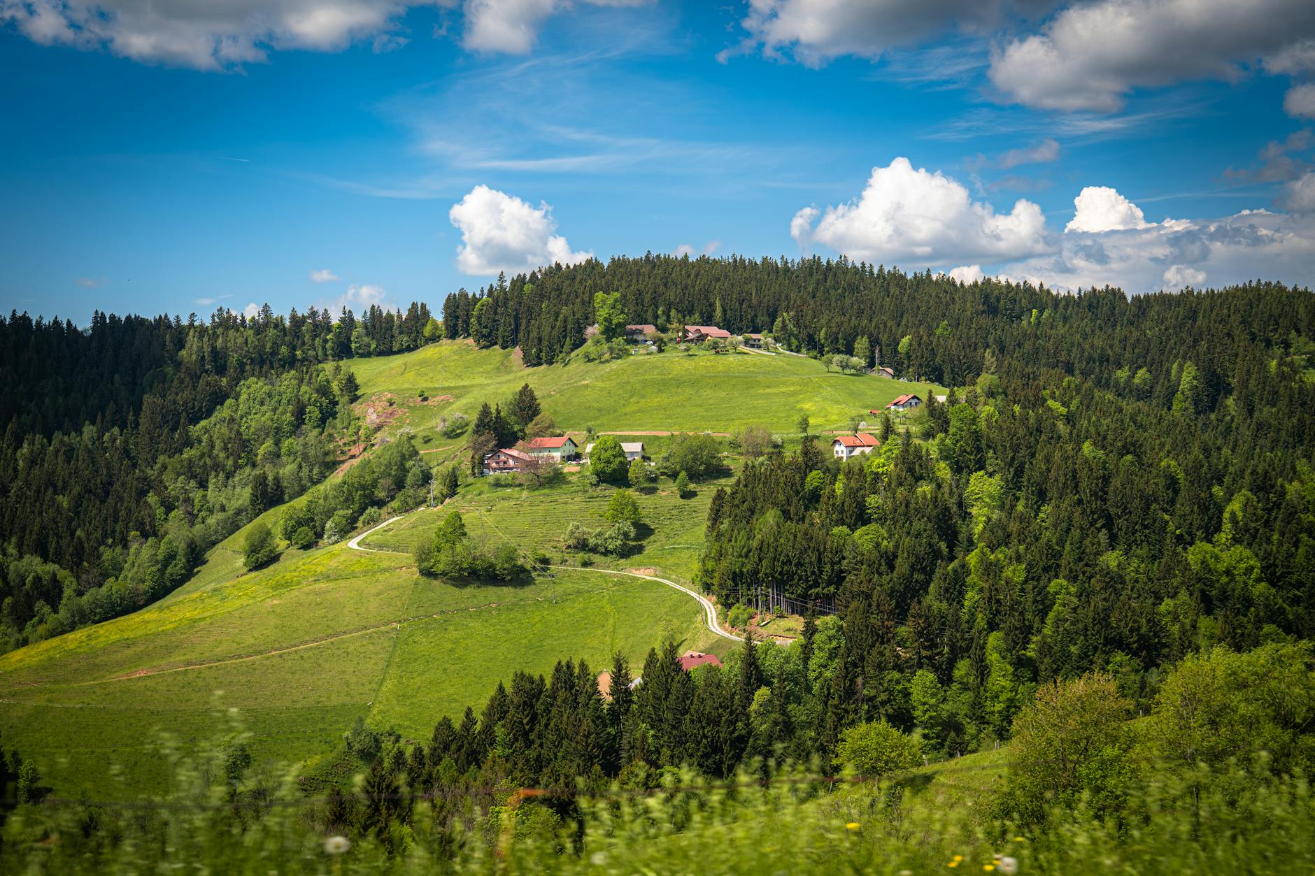 Detailansicht: Schwarzwald Ausflugsziele