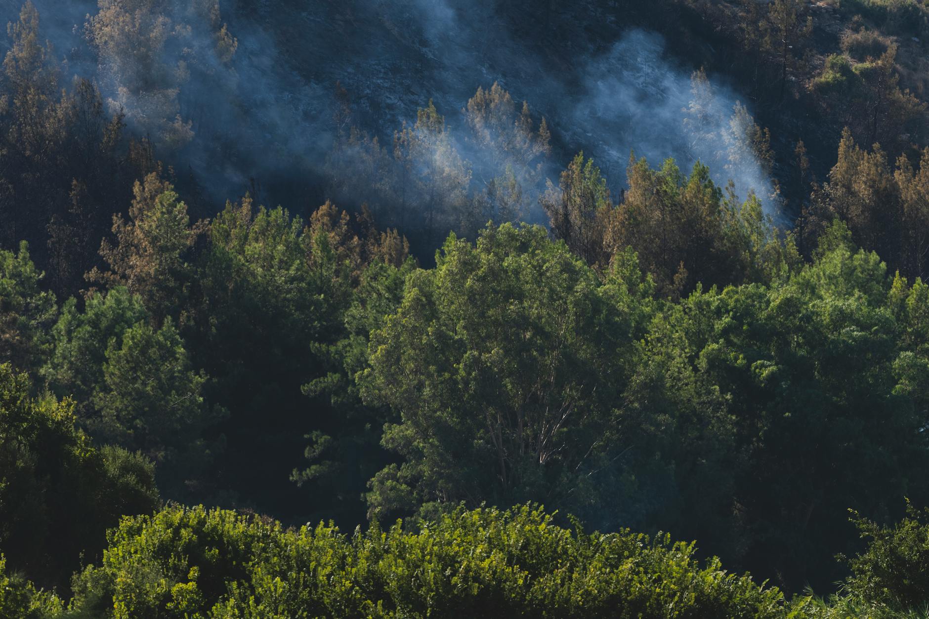 Symbolbild zum Thema Waldbrand Toskana